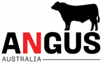 AA_Logo (1)